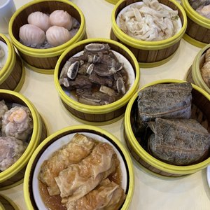 Fried and Pan Fried Dim Sum